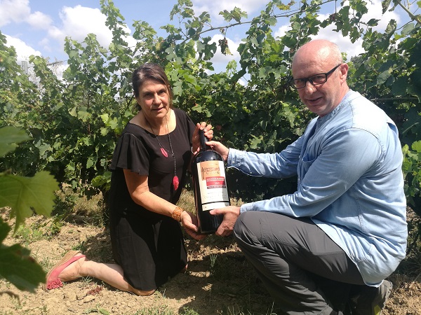 經營紅酒所需的資本有多大?