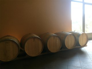 投資進口葡萄酒生意的前景如何