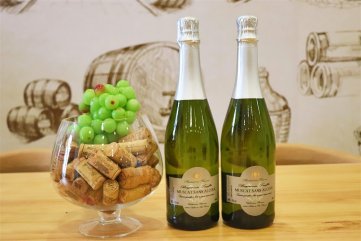 中國(guó)紅酒品牌排行高不高