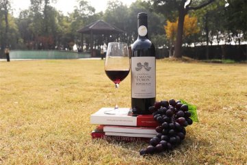 投資法國(guó)進(jìn)口紅酒生意賺不賺錢